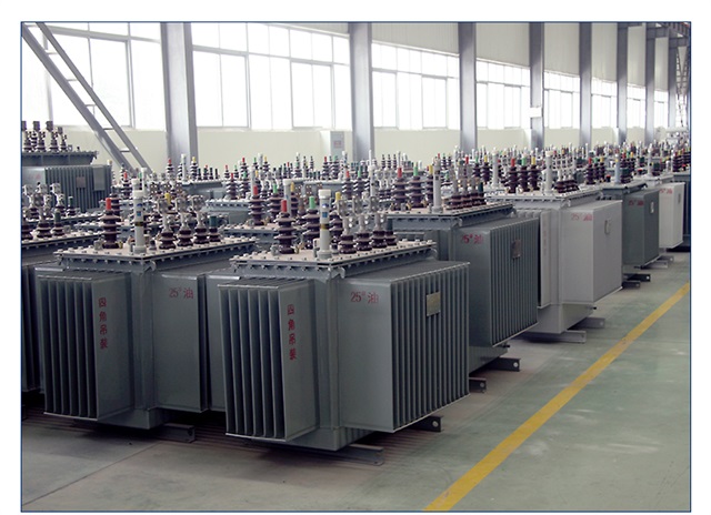 嘉禾嘉禾嘉禾电力变压器